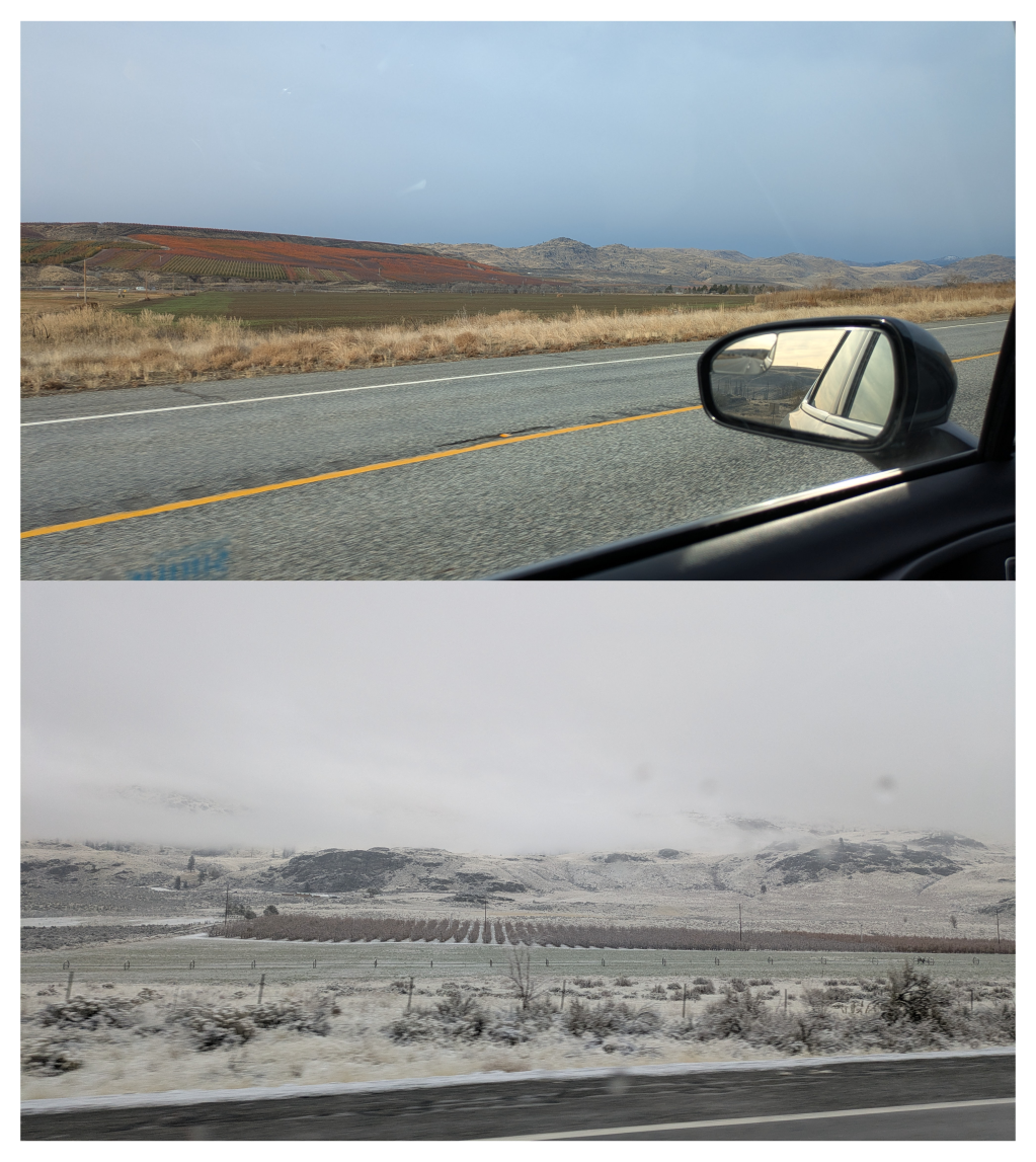 Vineyards and fields just before and just after the first snow of the season in along the Okanagan River, south of Omak, WA.